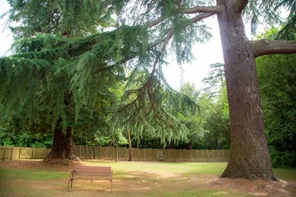 Winfield Lodge Residential Home